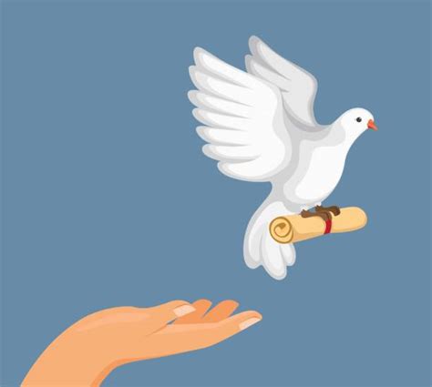 Bird Carrying Note Stock Photos Pictures And Royalty Free Images Istock
