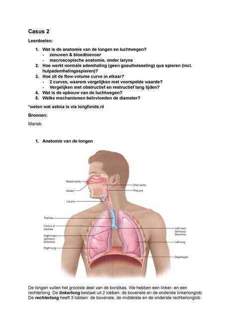 1 2 Casus 2 Casus 2 Leerdoelen Wat Is De Anatomie Van De Longen En