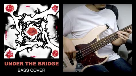Under The Bridge Red Hot Chili Peppers Bass Cover YouTube