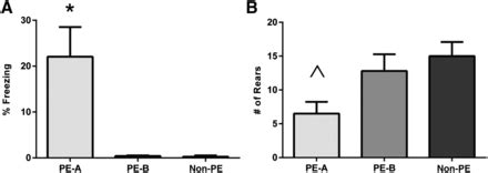 Immediate-early gene transcriptional activation in hippocampus CA1 and ...