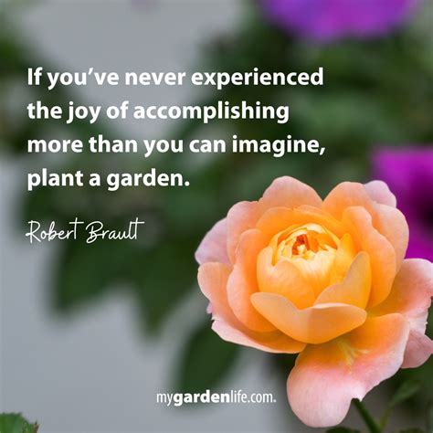 What A Joy To Look My Garden Life Grow Share Inspire