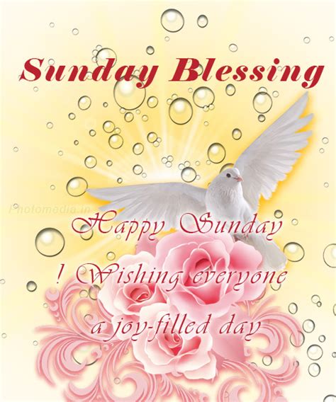 Happy Sunday Blessings Inspiring Images And Quotes To Brighten Your