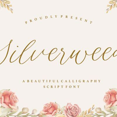 pretty fonts collection fontspace