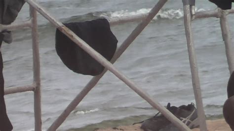 2022 Bikini Beach Girls Videos Vol 916