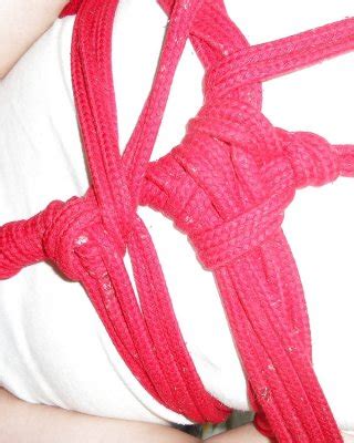 Vibe And Tied Of Fujiko Porn Pictures XXX Photos Sex Images 1662416 PICTOA