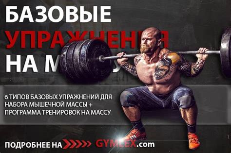 Базовые упражнения на все группы мышц для набора мышечной массы