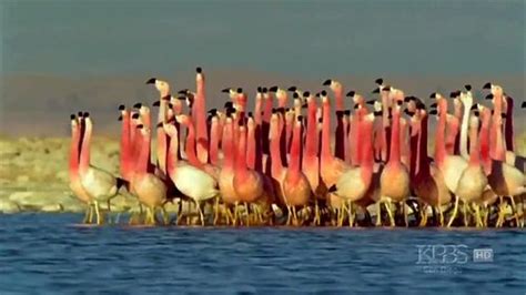 Watch Sedf Dfxcgvhbjn Dfxcg R Tuydfghb Anal Porn SpankBang