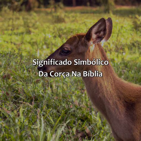 O Que É Corça Na Bíblia - O Que É Corça Na Bíblia - Bíblia da Bíblia