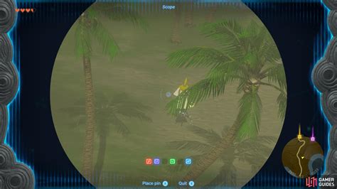 Electric Wizzrobe The Legend Of Zelda Tears Of The Kingdom Database