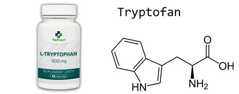 Tryptofan i wszystko, co musisz o nim wiedzieć - blog - sklep ...