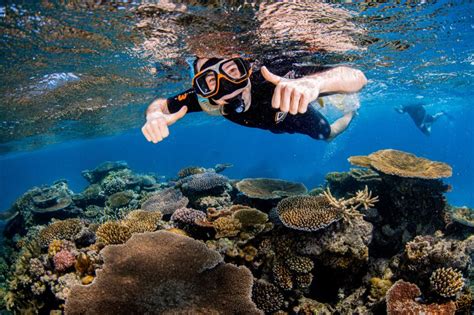 Reef Encounter On Linkedin Happy Guests Happy Reefs Our Guests