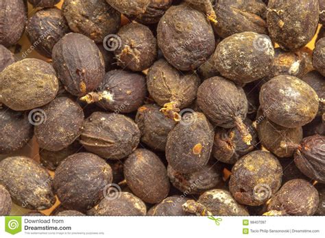 Coffee Bean Fruits Shell Stock Photos Free And Royalty Free Stock
