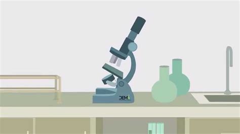 Что такое пробиотики пятого поколения. Программа Bio In/ Био-Ин - YouTube