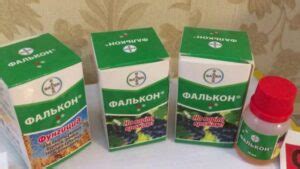 Фунгицид Фалькон - инструкция по применению, отзывы