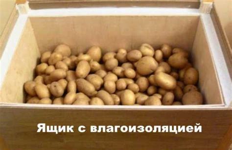 Емкость для хранения картофеля – как содержать на балконе и в остальных ...