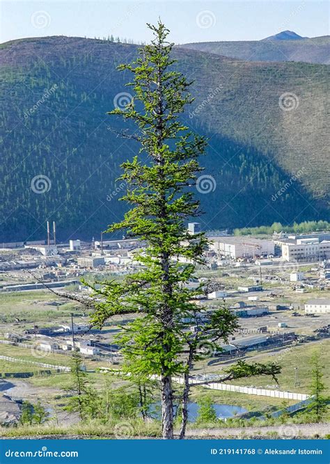 City of Bilibino in Chukotka, Russia Stock Photo - Image of summer ...