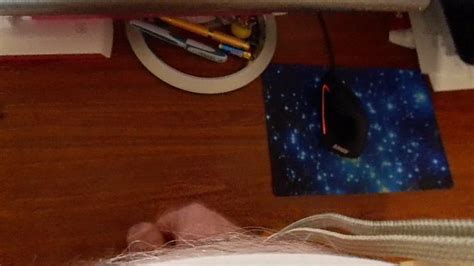 Zweiter Versuch Gay Man Porn XHamster