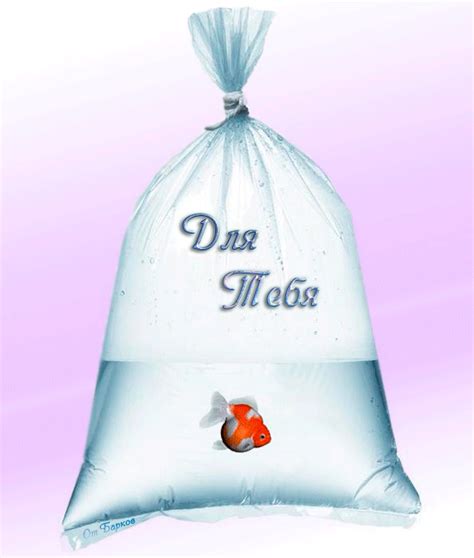 Золотая рыбка в пластиковом пакете с надписью "Для Тебя" | Зеленые ...