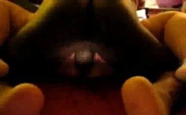 Mauritian Porn Videos With Real Mauritius Sex XHamster