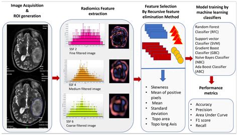 JPM Free Full Text Machine Learning Based Radiomics For Classifying