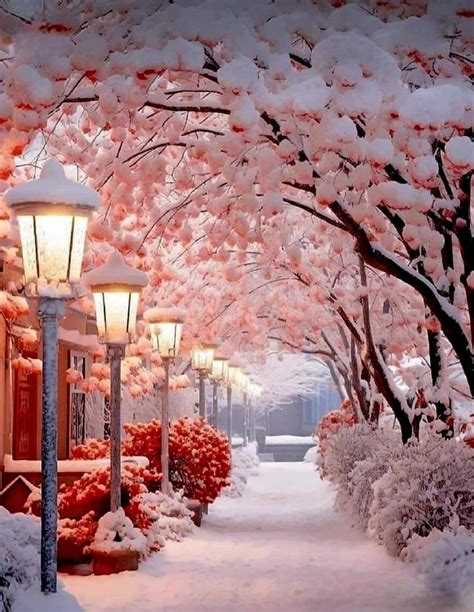 Pin By Clarence Jackson Jr On Snow In Beautiful Winter