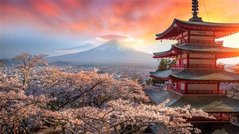 Sakura Japan Photo Tour Photography Tours Tour Around The World