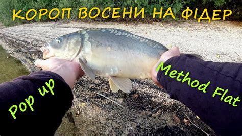 КОРОП ВОСЕНИ НА ФІДЕР / РИБАЛКА НА ВЕЛИКОМУ ОЗЕРІ / КУПИВ УЛОВИСТІ ...