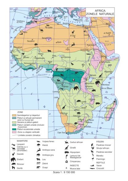 Africa Harta Zonelor Naturale 1 30m X 1 75m Geografia Online