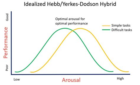 15 Yerkes Dodson Law Examples 2023 Ejemplode