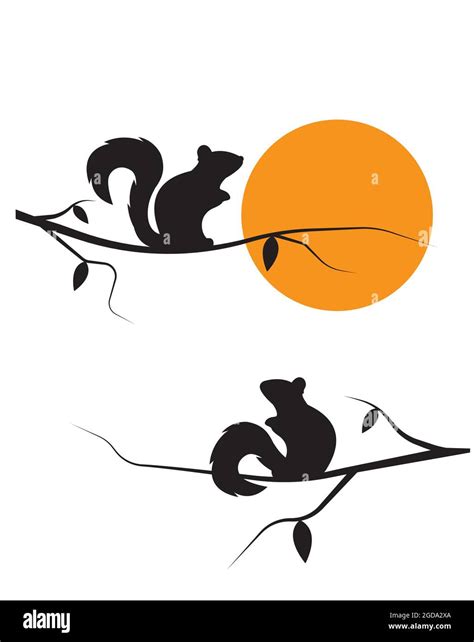 Two Squirrels Silhouettes On Branch On Sunset Illustration Vector