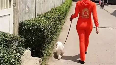 Free Indonesian Wife Porn Videos Xhamster