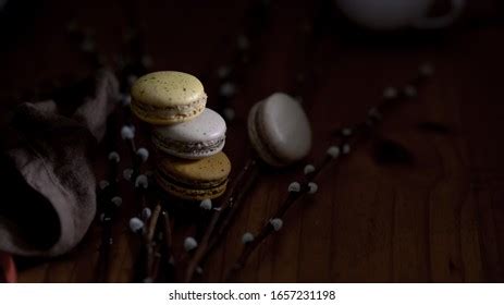 French Pink Pussy Willow Images Stock Photos Vectors Shutterstock