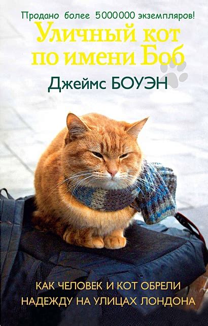Книга Уличный кот по имени Боб. Как человек и кот обрели надежду на ...