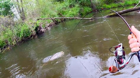 Brown Trout Fishing HUGE Trout In A TINY Creek YouTube