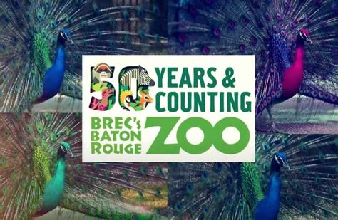 Baton Rouge Zoo Undergoes State-of-the-Art Redevelopment