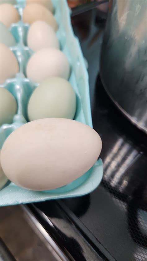 Are these eggs still good? : r/eggs