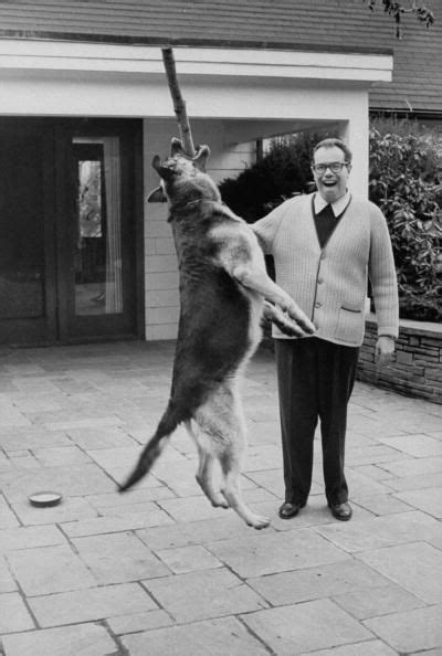Charles Bluhdorn And His Gsd Charles Gsd Famous People