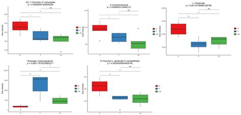 Gut Microbiota And Metabolite Features In NSCLC Nude Mouse Models Of