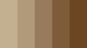 Is Khaki a Color? Discover the Best Shades and History