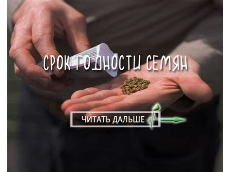 Срок годности семян