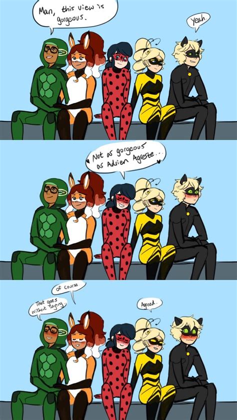 Ladies And Chats Miraculous Ladybug Memes Miraculous Ladybug Comic