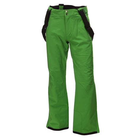 Dare2b, Certify 4-way stretch ski pants, men, Trek green ...