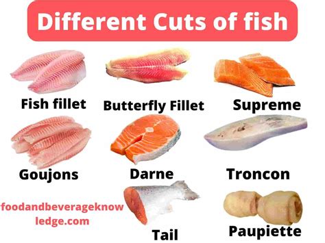 What Is Troncon Cut Of Fish 2022 QAQooking Wiki