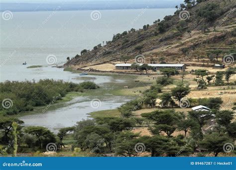 The Lake Ziway in Ethiopia stock image. Image of ziway - 89467287