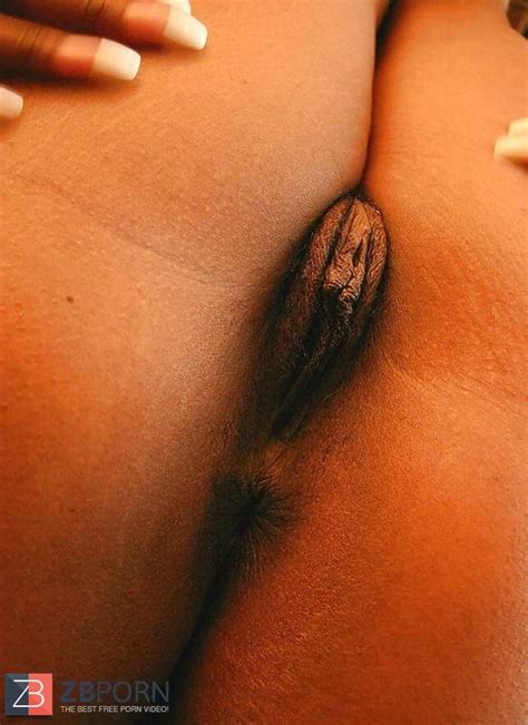 Joi Ryda Culo Queen ZB Porn