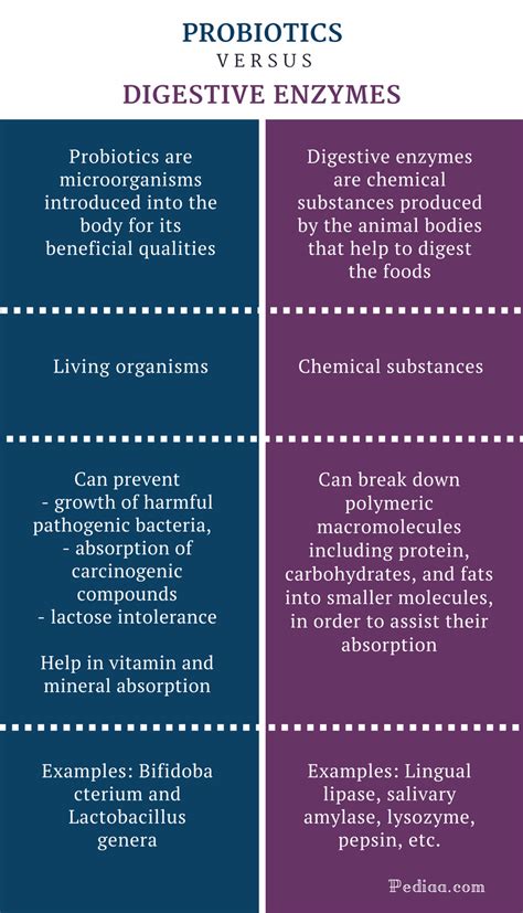 Difference Between Probiotics and Digestive Enzymes | Definition ...