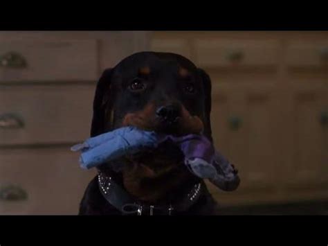 The People Under the Stairs (1991) - Roach Saves Fool - YouTube