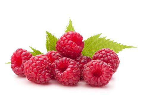 raspberries maliny Miejskie Przedszkole Nr 8 Montessori w Jarosławiu