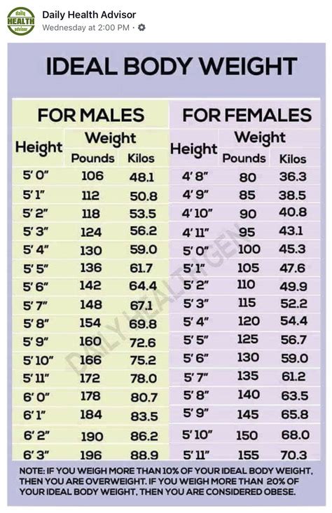 This Is How Much You Should Weigh According To Your Age Body Shape And Height Artofit