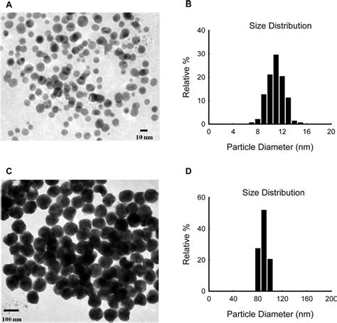 Characterization Of AgNPs By TEM A TEM Images Of 10 Nm AgNPs B